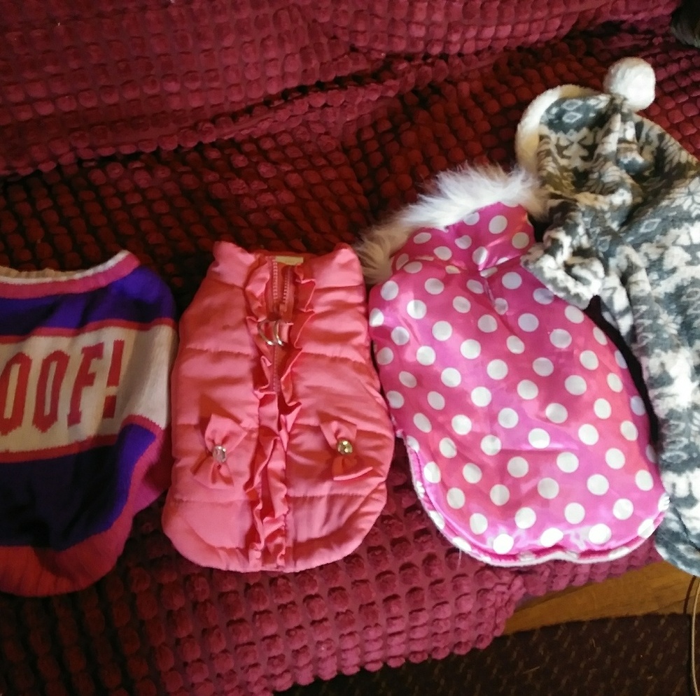 Small dog outfits
